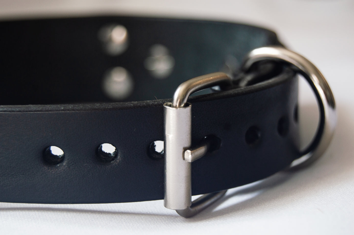 'Insert Text' Collar