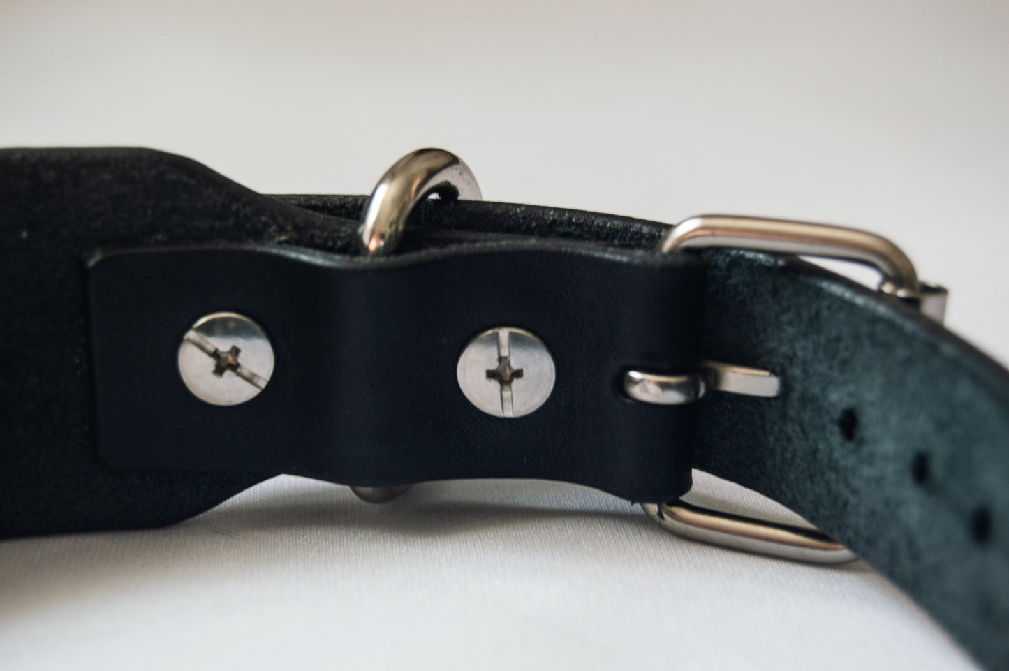 'Insert Text' Collar