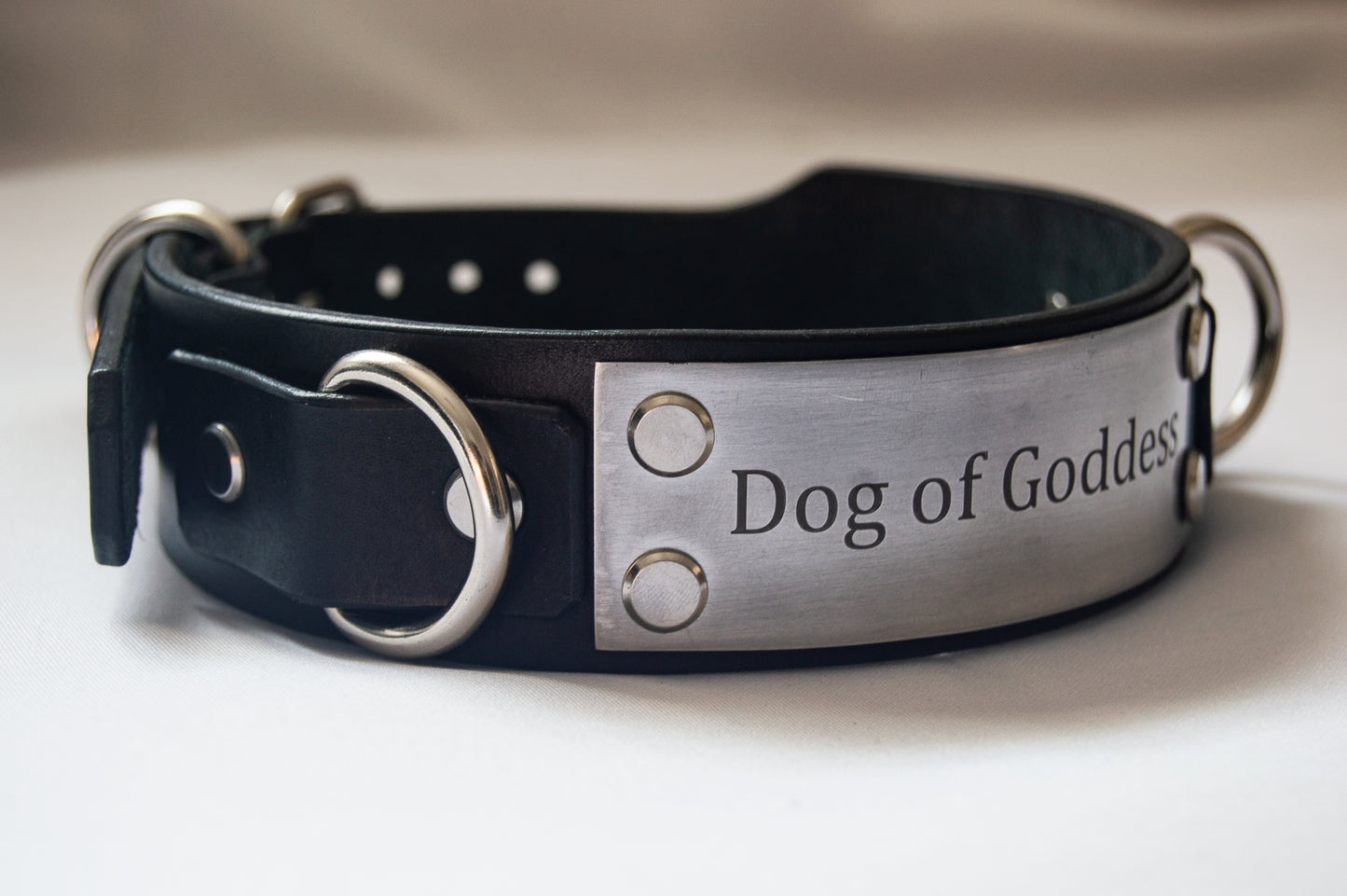 'Insert Text' Collar