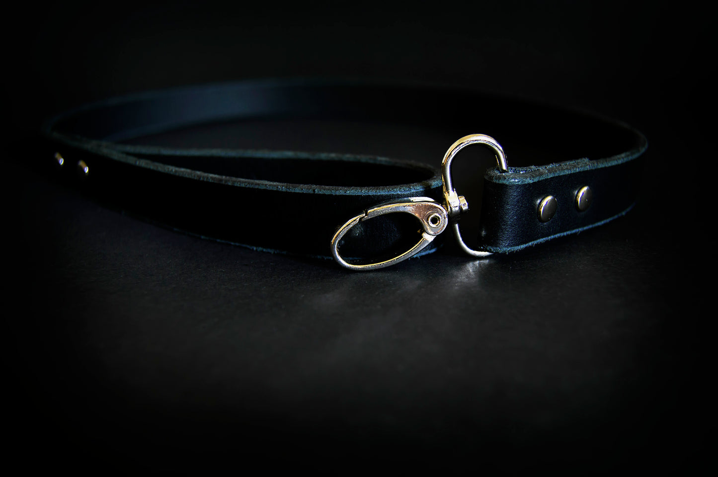 Leather Leash