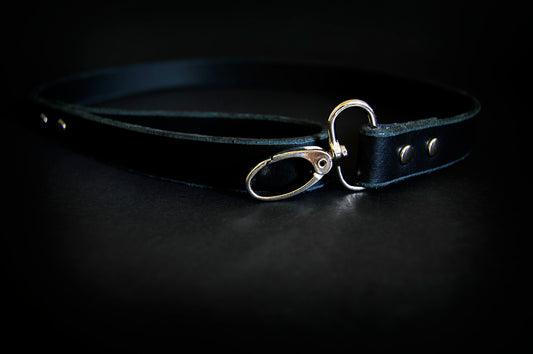 Leather Leash