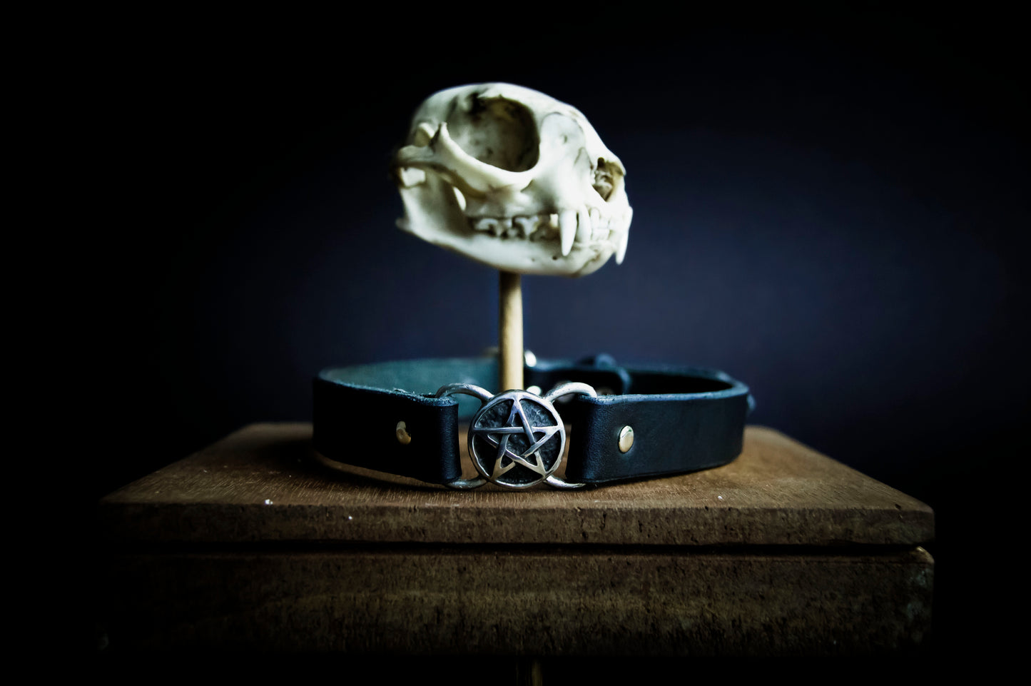 Pentacle Choker