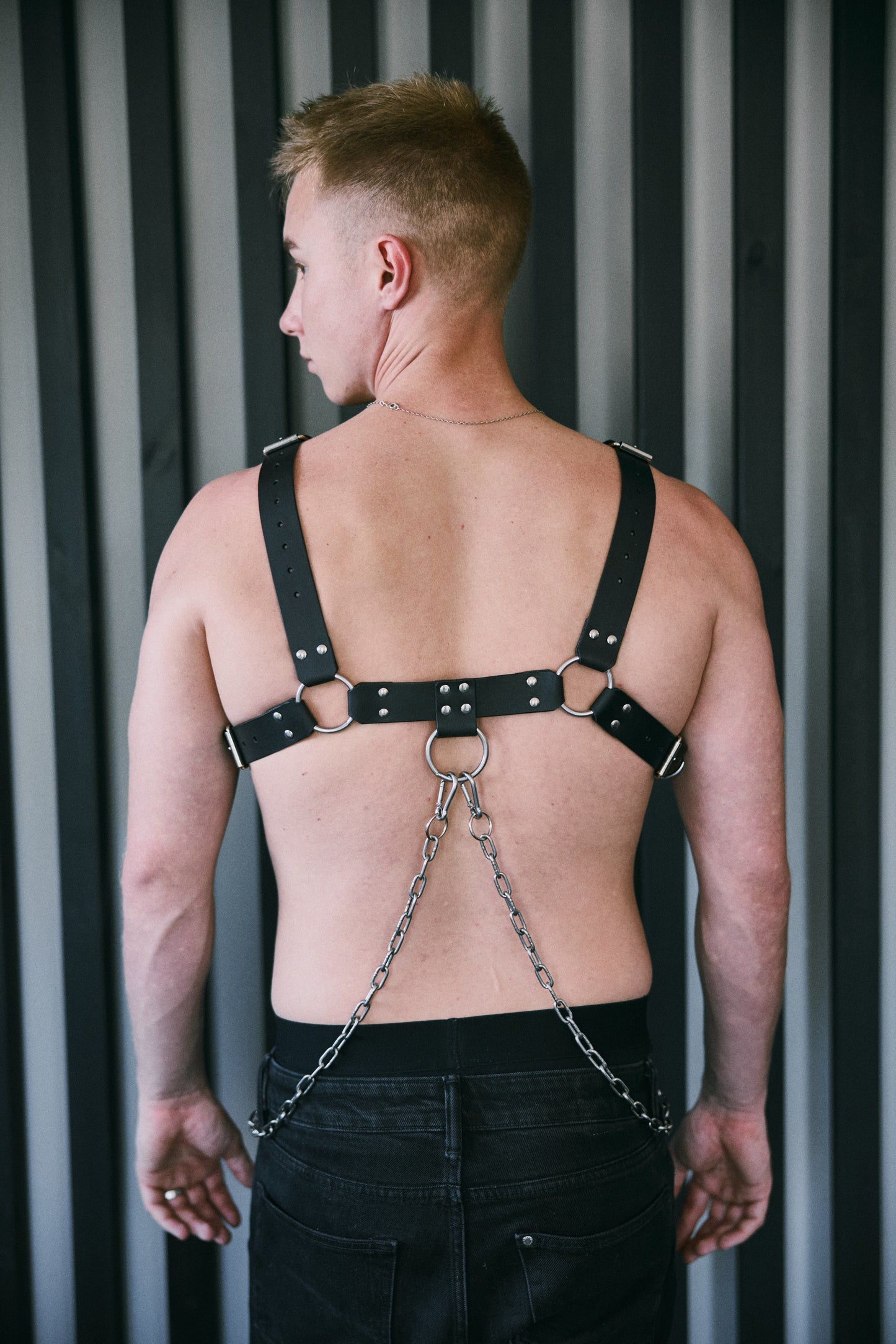 The Bulldog Harness