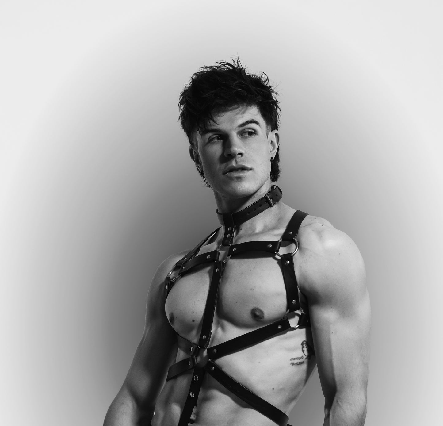 The Atlas Harness