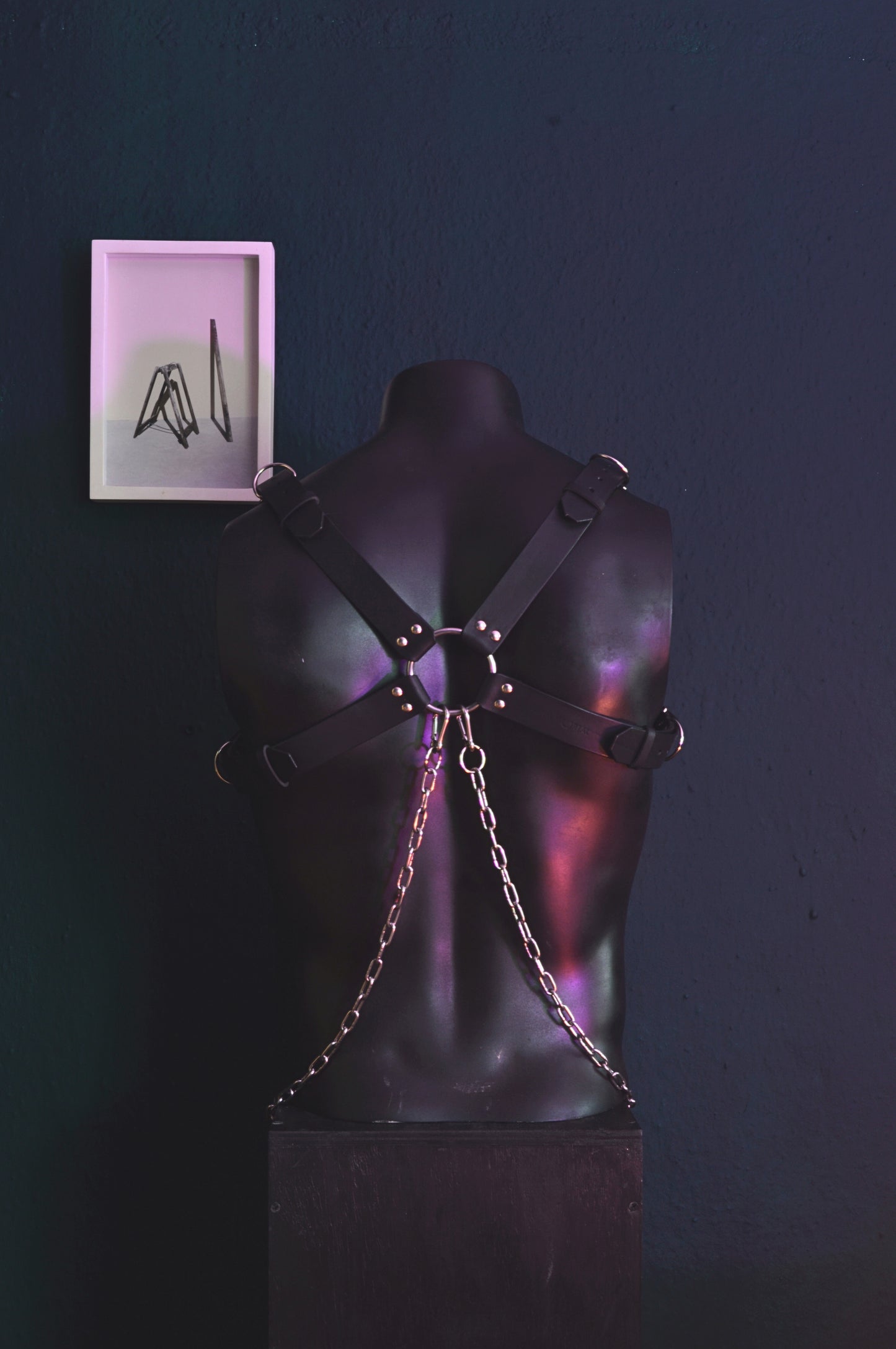 The Bulldog Harness