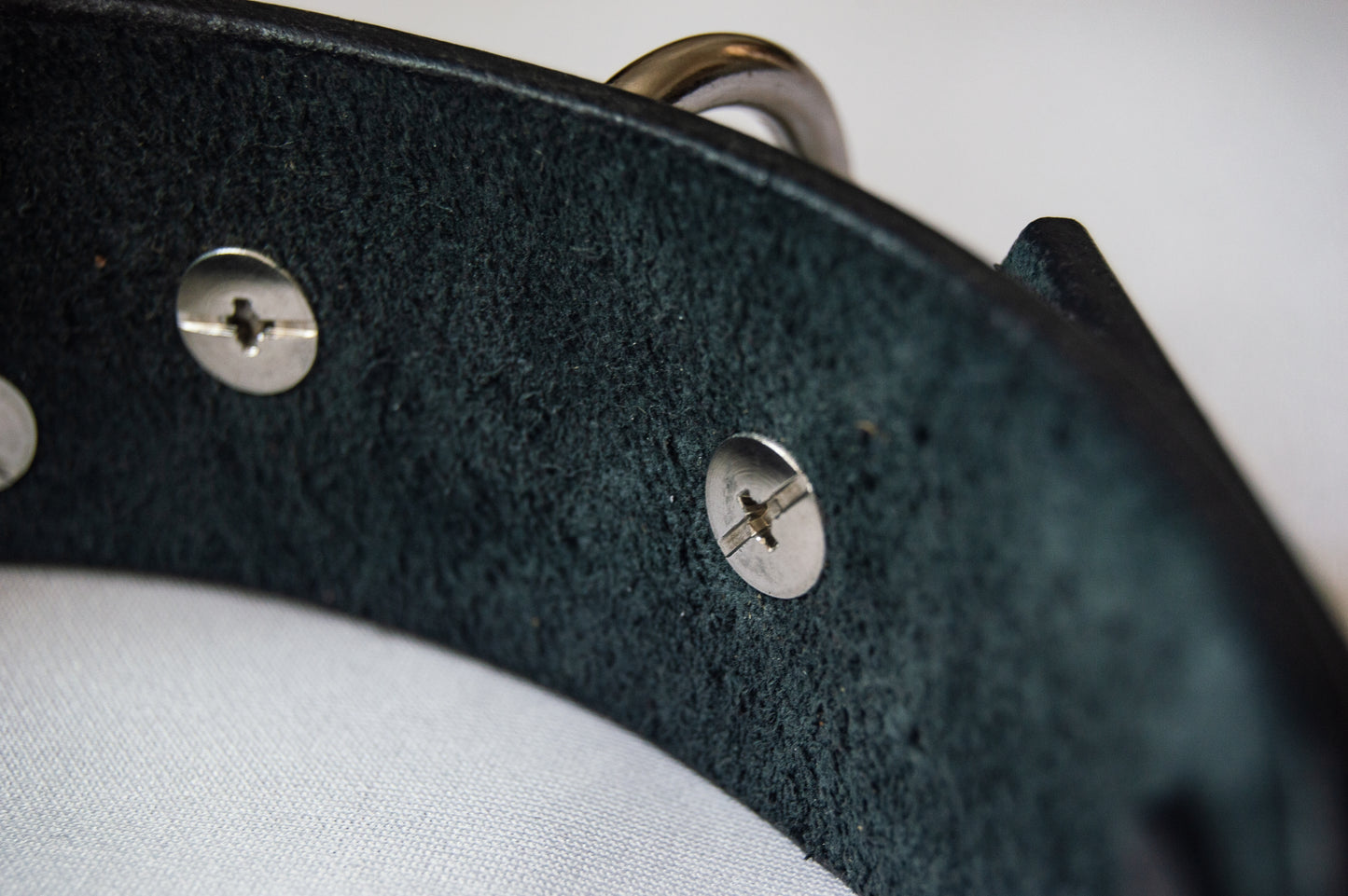 'Insert Text' Collar
