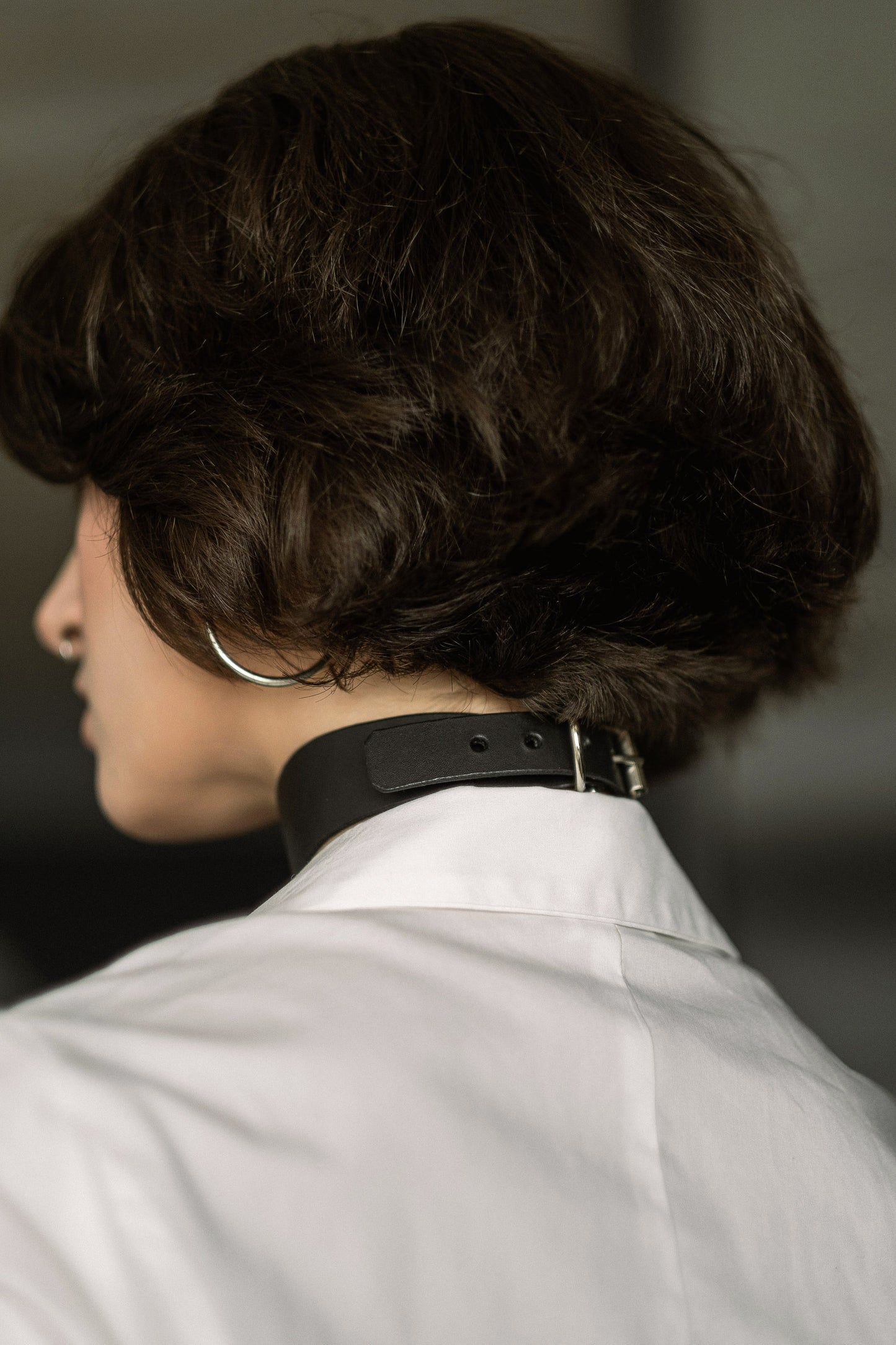 Aurelia Collar