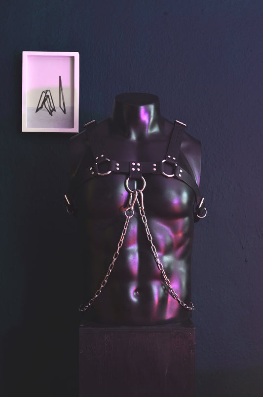The Bulldog Harness